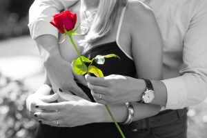 red rose and love