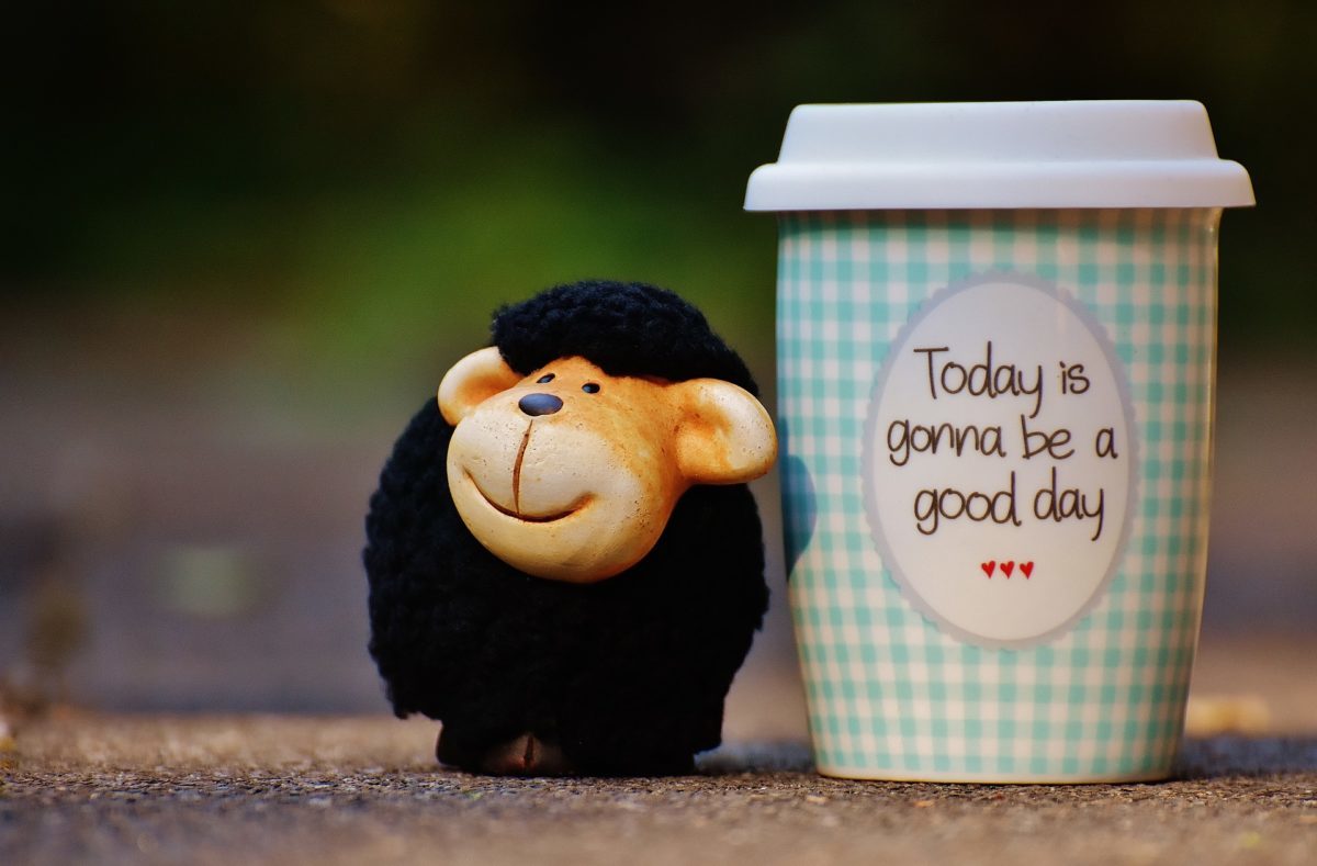 cup and sheep toy