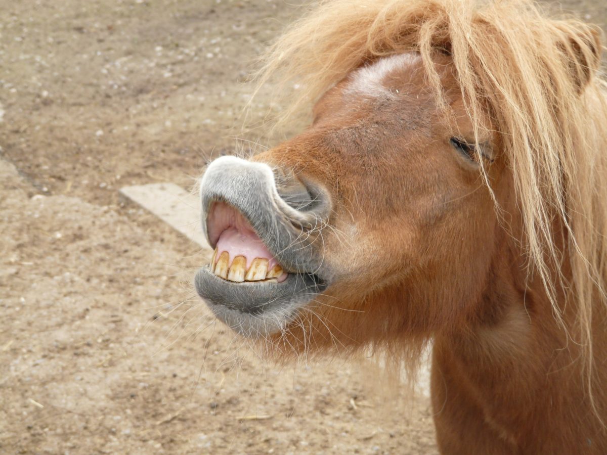 smiling face