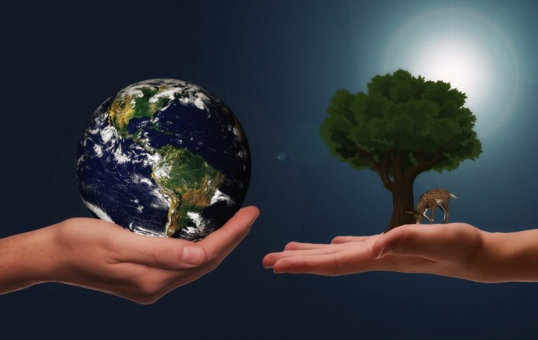 hands, earth, and tree